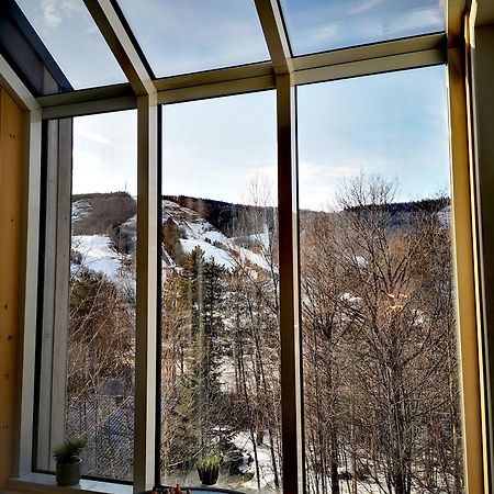 סטונהם Condo Sur 2 Niveaux Avec Magnifique Vue Sur La Montagne מראה חיצוני תמונה