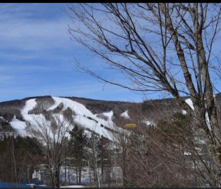 סטונהם Condo Sur 2 Niveaux Avec Magnifique Vue Sur La Montagne מראה חיצוני תמונה